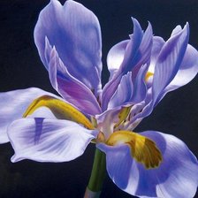 Схема вышивки «№2820350»