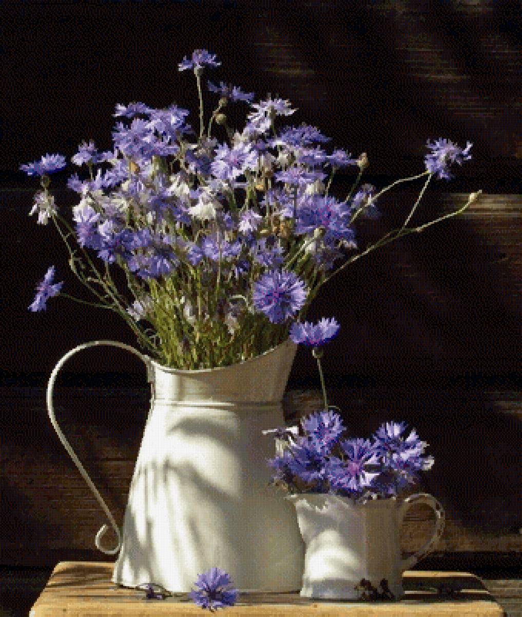 Букет васильки - цветы васильки букет - предпросмотр