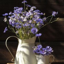 Букет васильки