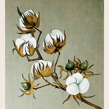 Схема вышивки «№2821141»