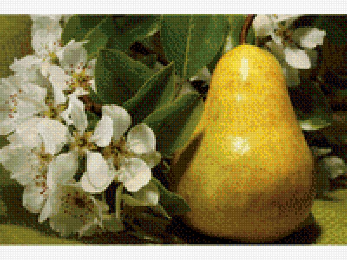 Груши - предпросмотр