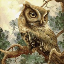 Схема вышивки «№2821230»