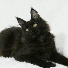 Схема вышивки «Мейкун»