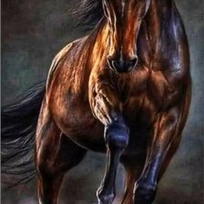 Схема вышивки «Грация и сила»