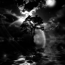 Схема вышивки «Природа чёрно-белый»