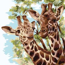 Схема вышивки «Жирафы»