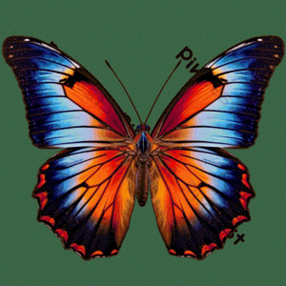 Bướm - предпросмотр