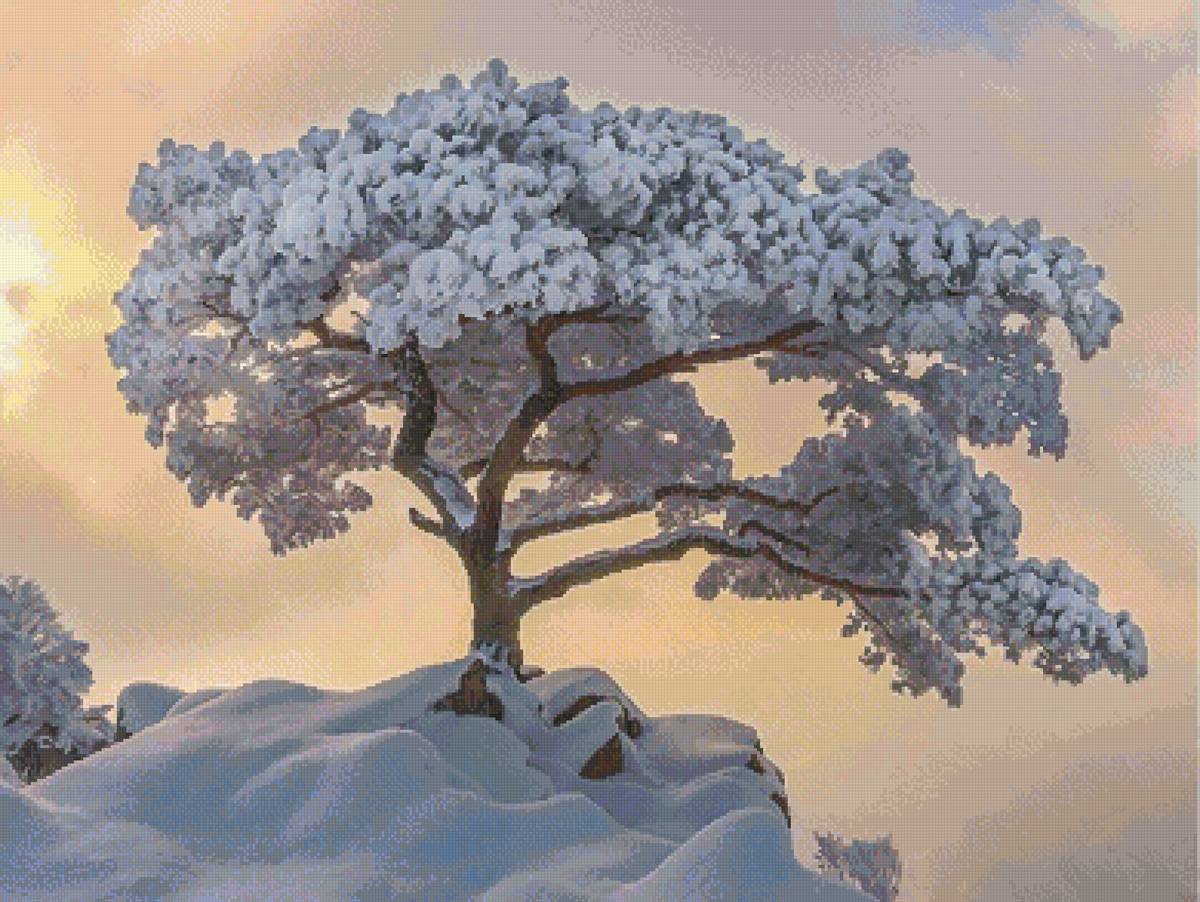 №2822462 - предпросмотр