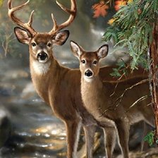 Схема вышивки «Олени»