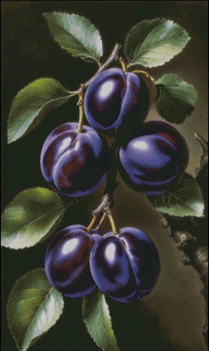 Слива - предпросмотр