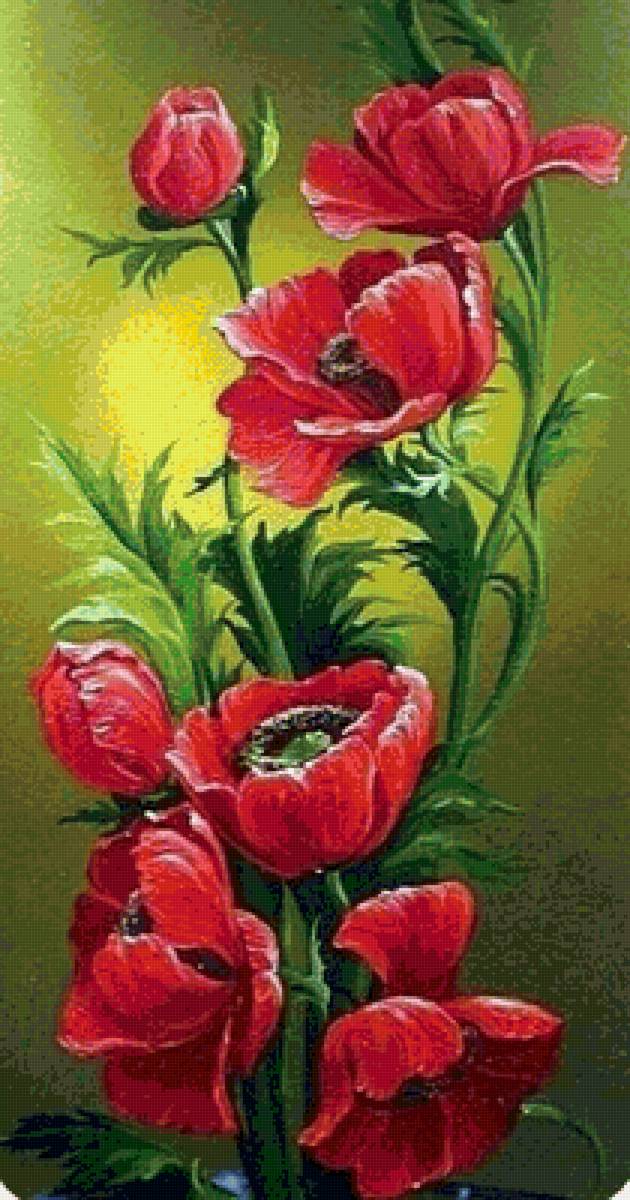 Маки - маки - предпросмотр