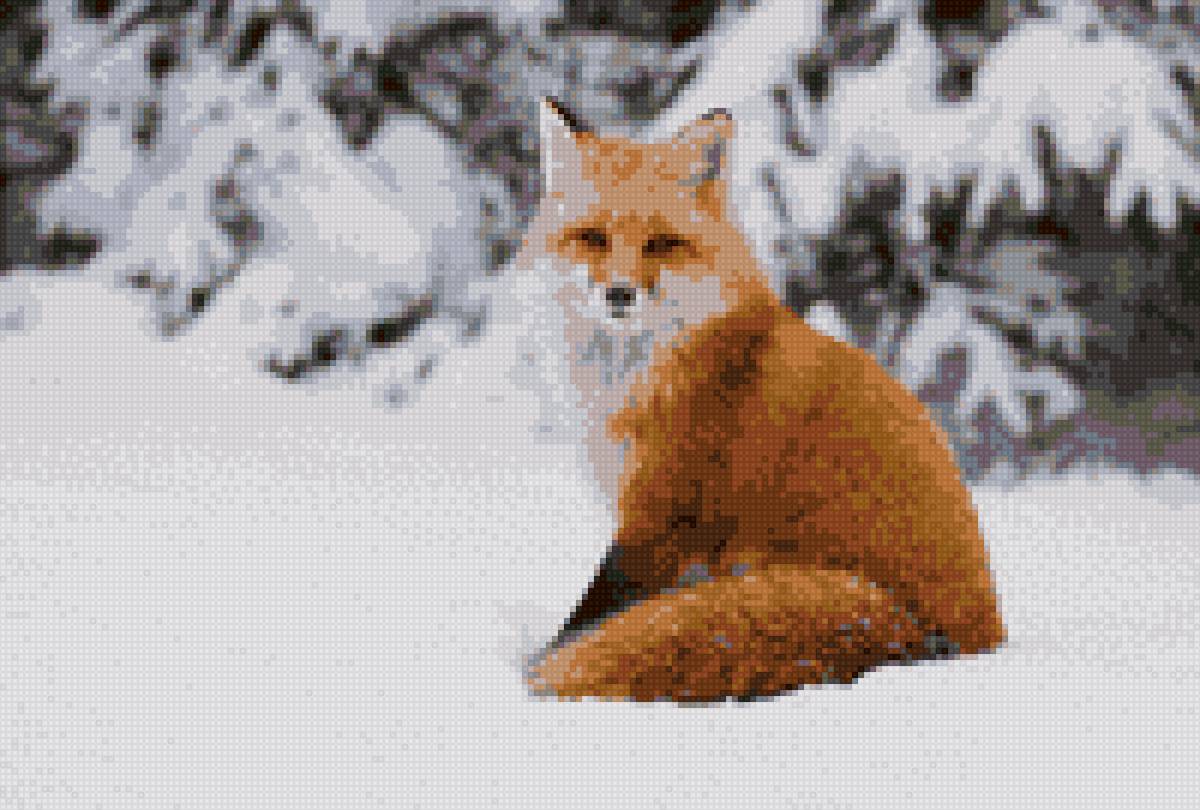 лисичка2 - предпросмотр