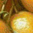 Предпросмотр схемы вышивки «Лимон» (№2822902)