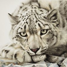 Схема вышивки «№2823174»