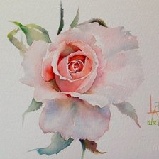 Схема вышивки «Роза»