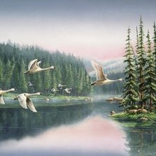 Схема вышивки «№2823387»