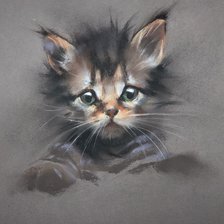 Котёнок. Сухая пастель. Елена Таткина