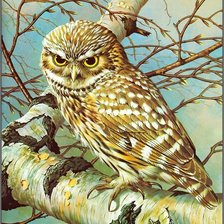 Схема вышивки «№2823959»