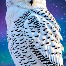 Схема вышивки «Совушка»