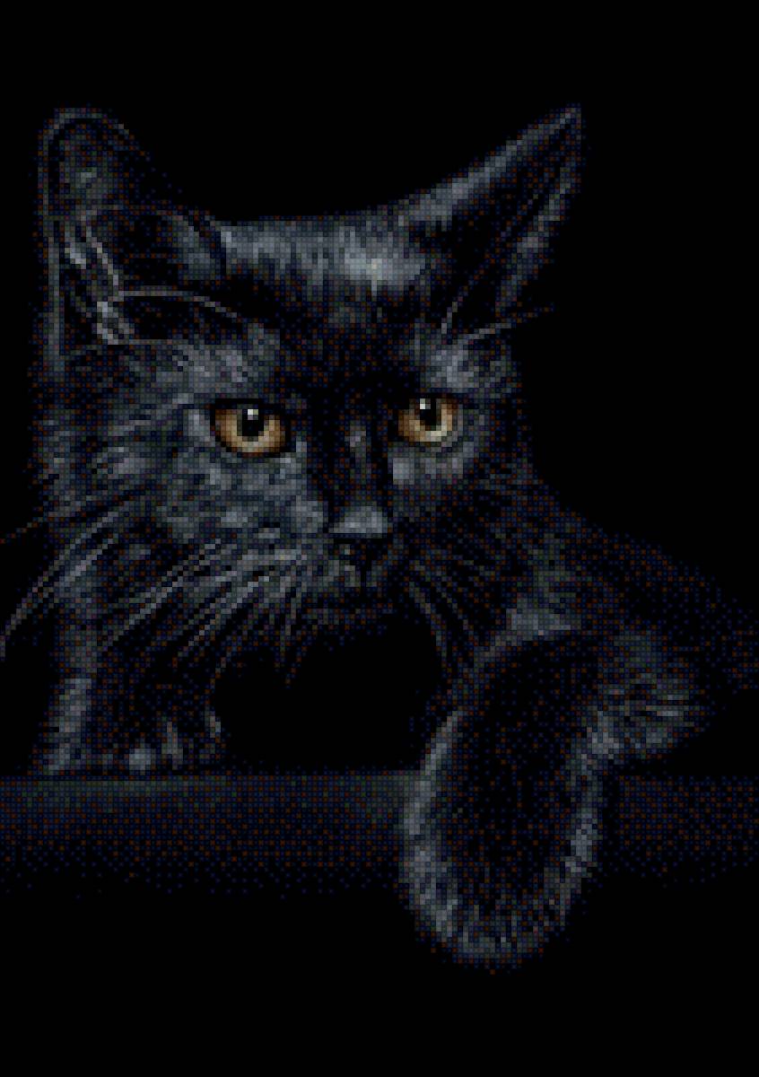 Котий - предпросмотр