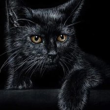 Схема вышивки «Котий»