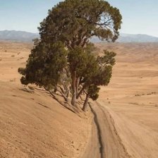 Схема вышивки «№2825572»