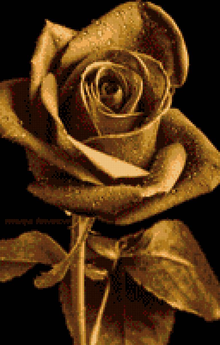 золотая роза - золотая роза - предпросмотр