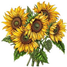 Схема вышивки «Подсолнухи»