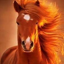 Схема вышивки «конь1абс»