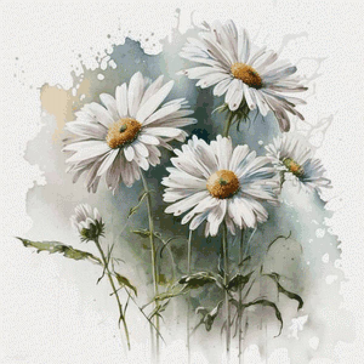 Акварельные ромашки - ромашки, цветы - предпросмотр