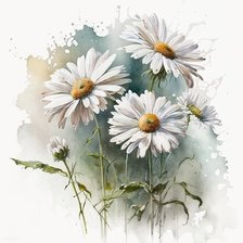 Схема вышивки «Акварельные ромашки»