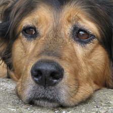 Схема вышивки «№2826185»