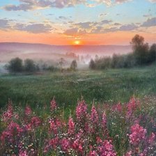 Схема вышивки «Палачев_пейзаж»