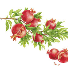 Схема вышивки «Гранатовая ветка»