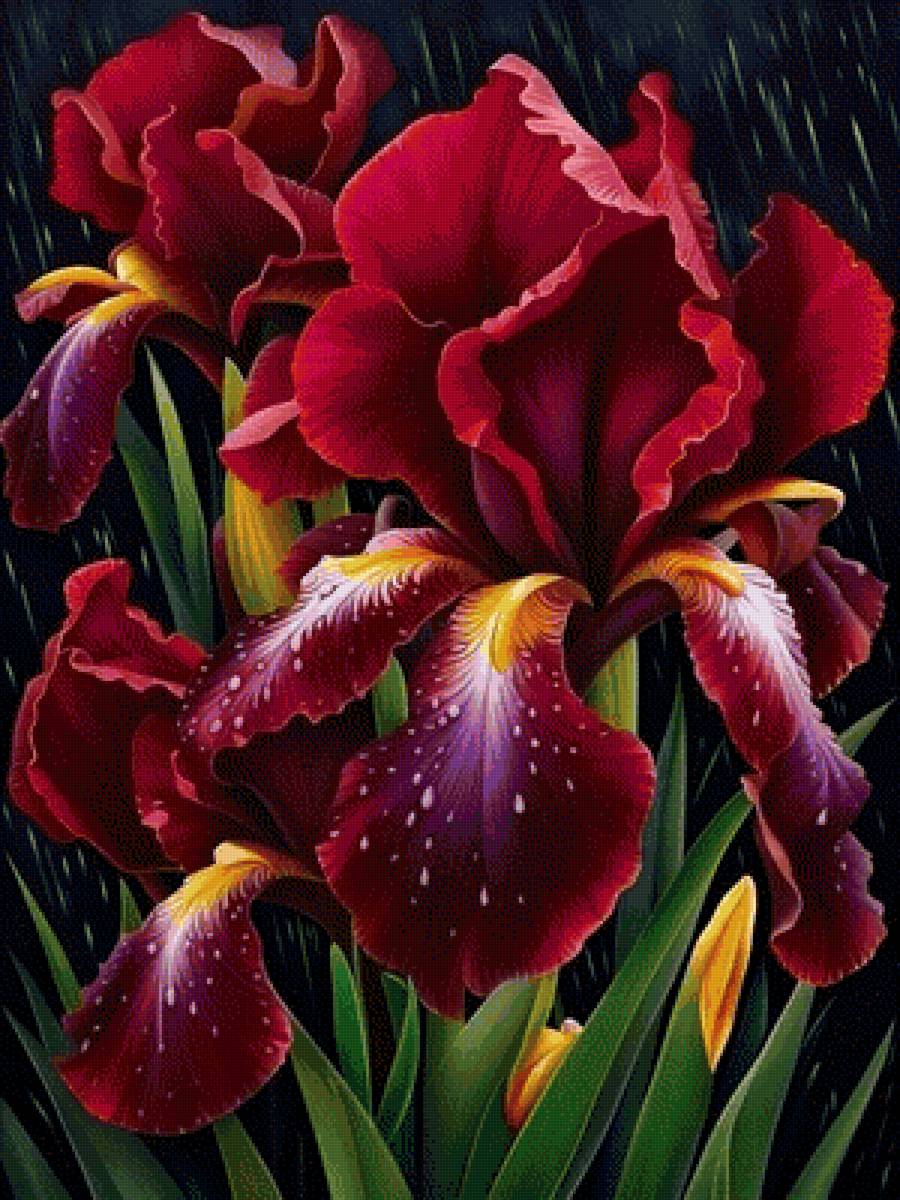 Цветы - предпросмотр