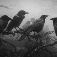 Схема вышивки «Вороны в сумерках»