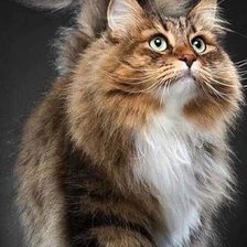 Схема вышивки «№2828813»