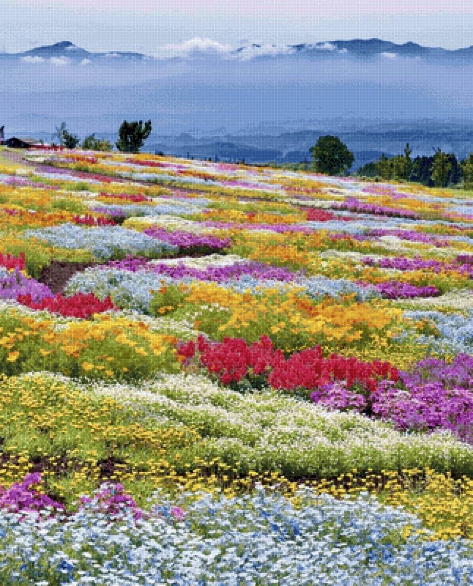 Wonderful Flower Garden - flower - предпросмотр