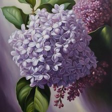 Схема вышивки «Ветка сирени»