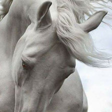 Схема вышивки «Лошадка»