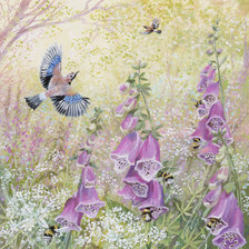 Люси гроссмит