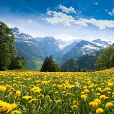 Схема вышивки «№2830549»