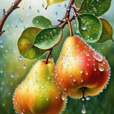 Схема вышивки «груши»