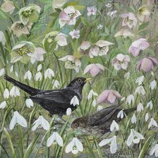 Люси гроссмит