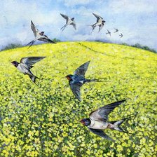 Схема вышивки «Люси гроссмит»