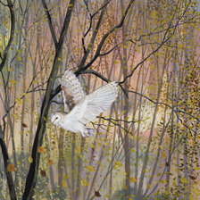 Люси гроссмит