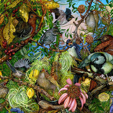 Схема вышивки «Растения лес птицы»