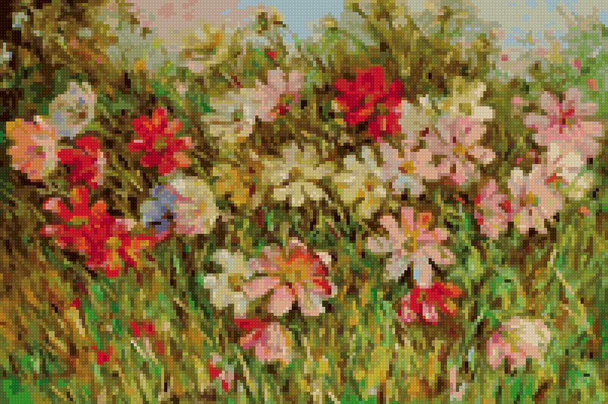 Цветы поляна луг - предпросмотр