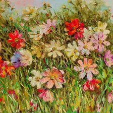 Цветы поляна луг