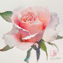 Схема вышивки «Роза»